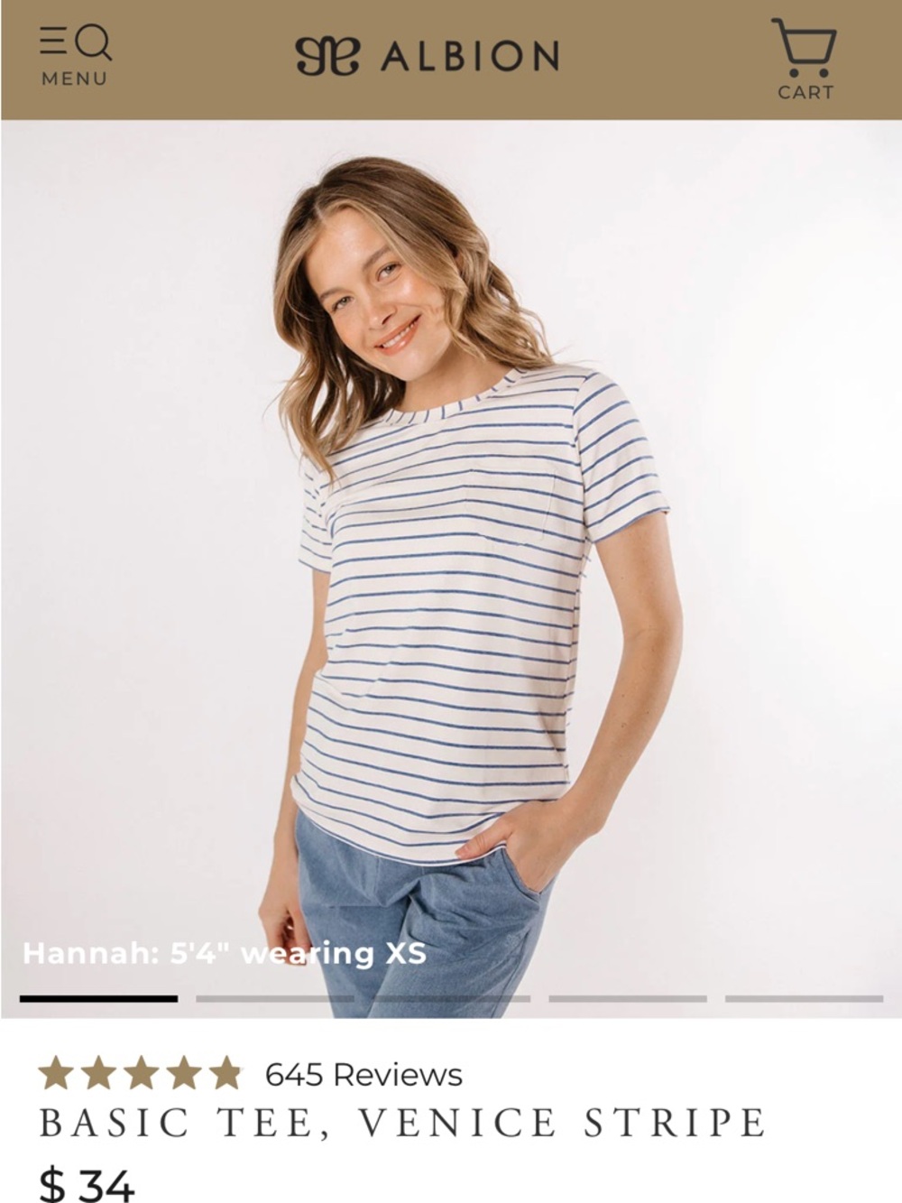 Albion Basic Venice Stripe Short-Sleeve Tee — Blue/White